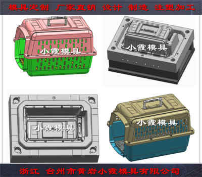 台州注塑模具 空运箱塑料模具